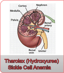 ‎Tharolax (hydroxyurea)